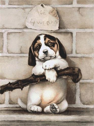 (image for) Vintage Beagle Puppy